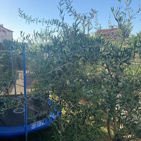 Villa Ulika - 3 Apt For 4 Persons Pula Exterior photo