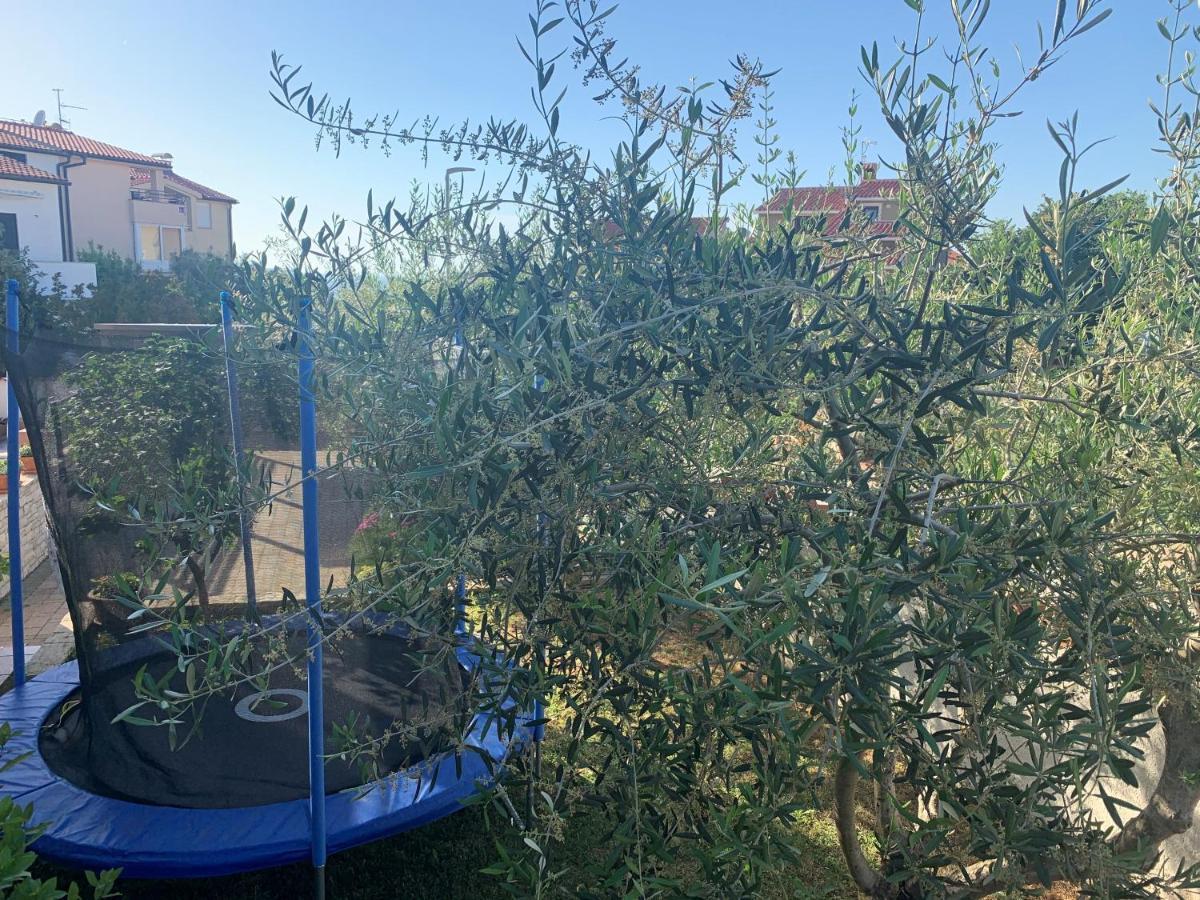 Apartment Ulika - 3 For 4 Persons Pula